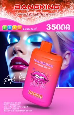 BANG KING 35000 Puffs Disposable Vape – Dual Mesh Coil, Type-C, 650mAh, 12 Flavors1