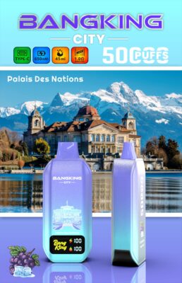 BANG KING CITY 50000 Puffs Disposable Vape – 45ml, Type-C Charging, 650mAh, 0–5% Nicotine, 12 Flavors1