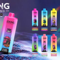 BANG LEGEND 110000 Puffs Disposable Vape7