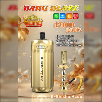BANG Blaze 42000 Puffs Disposable Vape – 30mL, 1000mAh, Type-C Rechargeable, 0.6Ω Mesh Coil1