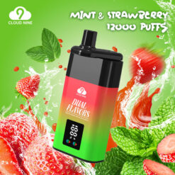 CLOUD NINE D19P 9000 Puffs Disposable – 10ml Capacity, 500mAh Battery, 1.0Ω Mesh Coil, 13W Output