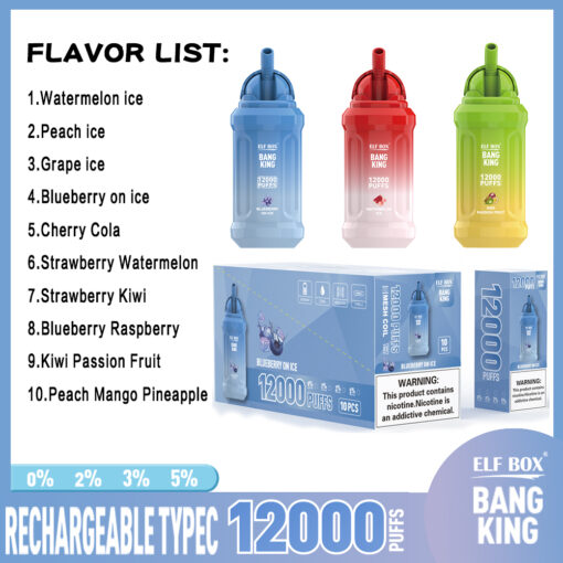 ELF BOX BK 12000 Puffs Disposable Vape – Mesh Coil, Type-C Rechargeable
