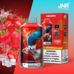 Falcon 16000 Puffs Disposable Vape – Dual Mesh Coil, Rechargeable, Adjustable Airflow