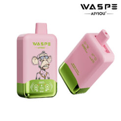 WASPE Double Flavor 40,000 Puffs Disposable Vape – Dual Flavor
