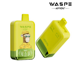 WASPE Double Flavor 40,000 Puffs Disposable Vape – Dual Flavor